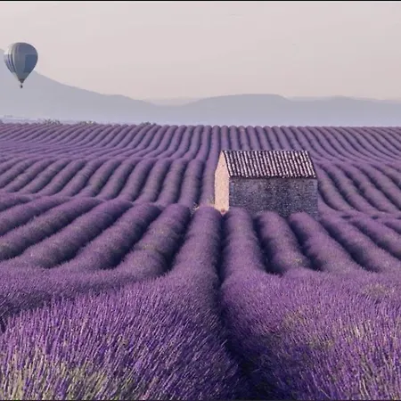 El Sitio De Francisco