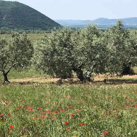 Apartman El Sitio De Francisco