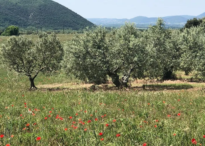 Apartment El Sitio De Francisco
